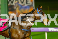 2026_PACEPIX_GP03072026_Race7_LuckyCopy_WIN_WEB-7