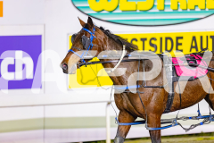 2026_PACEPIX_GP03072026_Race7_LuckyCopy_WIN_WEB-9