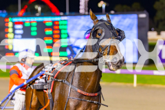2026_Pacepix_GP28042026_RACE7_LukesMistake_WIN_WEB-20