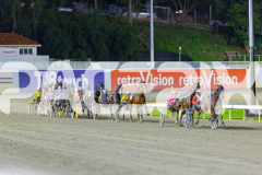 2026_Pacepix_GP28042026_RACE7_LukesMistake_WIN_WEB-3