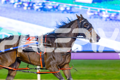 2026_Pacepix_GP28042026_RACE7_LukesMistake_WIN_WEB-5
