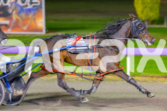 2026_Pacepix_GP28042026_RACE7_LukesMistake_WIN_WEB-8