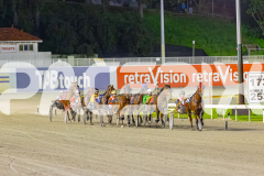 2025_PACEPIX_GP02092025_RACE7_LukesMistake_WIN_WEB-1