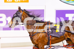 2025_PACEPIX_GP02092025_RACE7_LukesMistake_WIN_WEB-11
