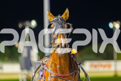 2025_PACEPIX_GP02092025_RACE7_LukesMistake_WIN_WEB-13