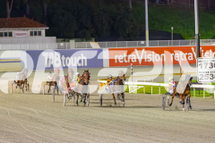 2025_PACEPIX_GP02092025_RACE7_LukesMistake_WIN_WEB-2