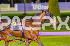 2025_PACEPIX_GP02092025_RACE7_LukesMistake_WIN_WEB-8