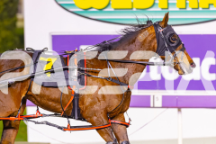 2025_PACEPIX_GP02092025_RACE7_LukesMistake_WIN_WEB-9