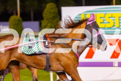 2025_Pacepix_GP30092025_RACE7_Luvaflair_WIN_WEB-5