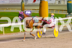 2025_Pacepix_GP30092025_RACE7_Luvaflair_WIN_WEB-7