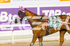 2025_Pacepix_GP30092025_RACE7_Luvaflair_WIN_WEB-9