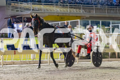 RACE 7 - Luvbite