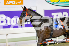 2026_PACEPIX_GP29052026_RACE7_Luvbite_WIN_WEB-11