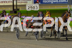 2026_PACEPIX_GP29052026_RACE7_Luvbite_WIN_WEB-4