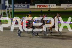 2026_PACEPIX_GP29052026_RACE7_Luvbite_WIN_WEB-5