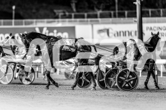 2026_PACEPIX_GP15052026_RACE7_Luvbite_WIN_WEB-2