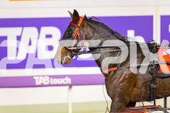 2026_PACEPIX_GP15052026_RACE7_Luvbite_WIN_WEB-21