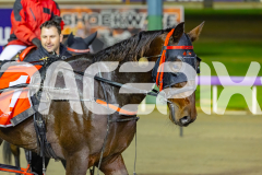 2026_PACEPIX_GP15052026_RACE7_Luvbite_WIN_WEB-24