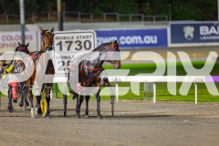 2026_PACEPIX_GP15052026_RACE7_Luvbite_WIN_WEB-5
