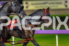 2026_PACEPIX_GP15052026_RACE7_Luvbite_WIN_WEB-8