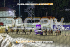 2026_Pacepix_GP07082026_WEB-75