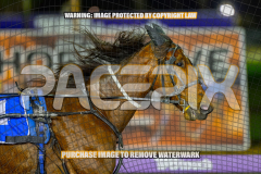 2026_Pacepix_GP07082026_WEB-82