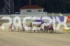 2025_PACEPIX_GP13052025_Race7_Malakie_WIN_WEB-1