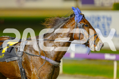 2025_PACEPIX_GP13052025_Race7_Malakie_WIN_WEB-13