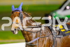 2025_PACEPIX_GP13052025_Race7_Malakie_WIN_WEB-16