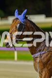 2025_PACEPIX_GP13052025_Race7_Malakie_WIN_WEB-18