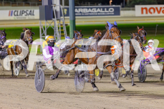 2025_PACEPIX_GP13052025_Race7_Malakie_WIN_WEB-4
