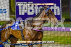 2026_Pacepix_GP23102026_Race7_ManukaBay_WIN_WEB-15