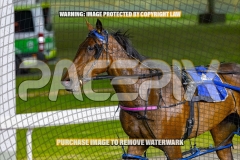 2026_Pacepix_GP23102026_Race7_ManukaBay_WIN_WEB-19
