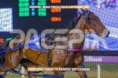2026_Pacepix_GP23102026_Race7_ManukaBay_WIN_WEB-4