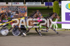 Margimac_16-06-2026_WIN_Gloucester-Park_7__07