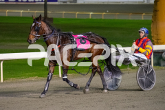 Margimac_16-06-2026_WIN_Gloucester-Park_7__10