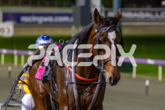 Margimac_16-06-2026_WIN_Gloucester-Park_7__12