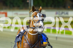 2026_Pacepix_GP06022026_WEB-137