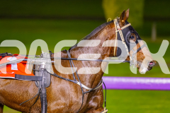 2025_PACEPIX_GP15072025_Race7_MegaMach_WIN_WEB-10