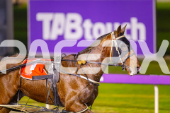 2025_PACEPIX_GP15072025_Race7_MegaMach_WIN_WEB-19