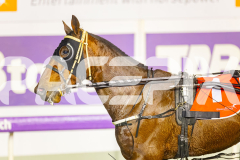 2025_PACEPIX_GP15072025_Race7_MegaMach_WIN_WEB-24