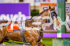 2025_PACEPIX_GP15072025_Race7_MegaMach_WIN_WEB-4