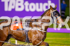 2025_PACEPIX_GP15072025_Race7_MegaMach_WIN_WEB-9