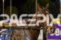 2025_PACEPIX_GP27062025_RACE7_MIKI-MADE-MONTY_WIN_WEB-11