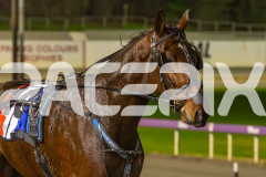2025_PACEPIX_GP27062025_RACE7_MIKI-MADE-MONTY_WIN_WEB-9