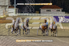2026_Pacepix_GP18082026_Race7_MissBejewelled_WIN_WEB-1