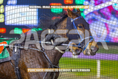 2026_Pacepix_GP18082026_Race7_MissBejewelled_WIN_WEB-20