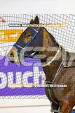 2026_Pacepix_GP18082026_Race7_MissBejewelled_WIN_WEB-24