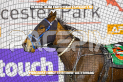 2026_Pacepix_GP18082026_Race7_MissBejewelled_WIN_WEB-25