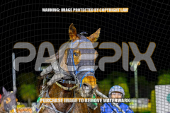 2026_Pacepix_GP18082026_Race7_MissBejewelled_WIN_WEB-27